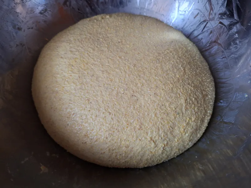 Così è come si presenta dopo il primo riposo di circa 30min, primo giro di pieghe e brevissima pirlatura.